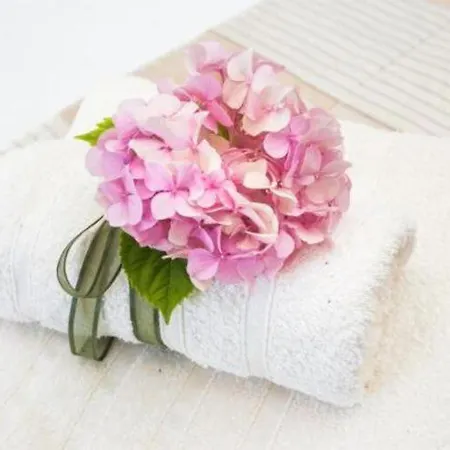 Olive - Comfort One Bedroom With Terrace And Sea View - Popolica 50 Apartament