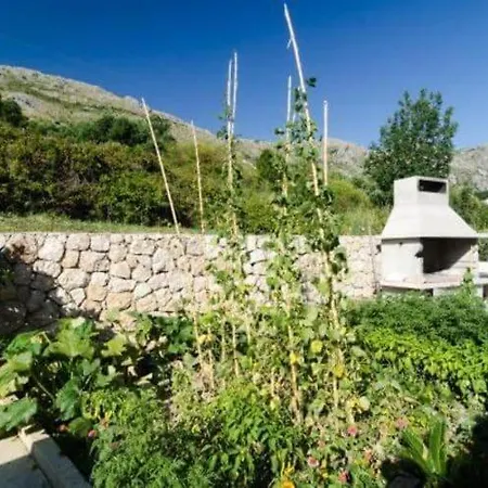 Olive - Comfort One Bedroom With Terrace And Sea View - Popolica 50 Apartament *