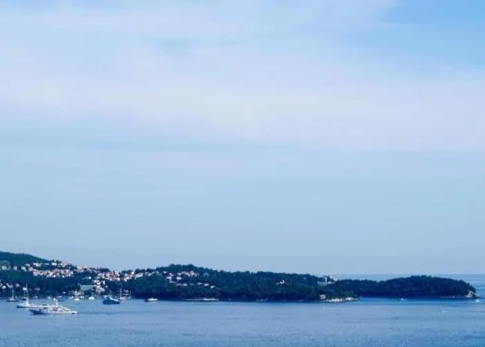 Olive - Comfort One Bedroom With Terrace And Sea View - Popolica 50