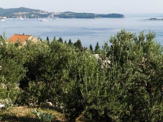 דירה Olive - Comfort One Bedroom With Terrace And Sea View - Popolica 50 *